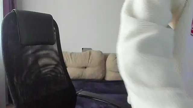 Snapshot of Ostin_meow chatting on 7, 11, 2025 Ostin meow online show from 7, 11, 2025