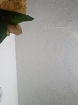 Naomy veracruz  online show from 8, 3, 2026