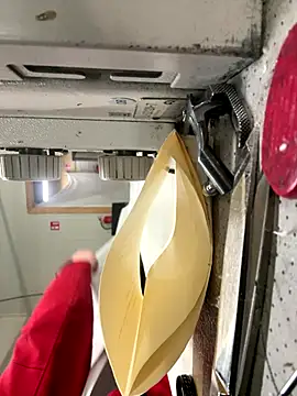 Snapshot of Mustafa-231 chatting on 28, 11, 2025 Mustafa-231 online show from 28, 11, 2025