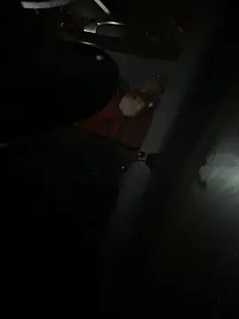 Snapshot of Mustafa-231 chatting on 29, 11, 2025 Mustafa-231 online show from 29, 11, 2025