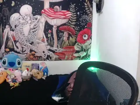 hachi kitty online show from 3, 4, 2026