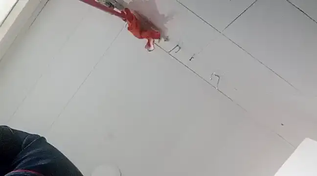 Darly Gomez online show from 2, 1, 2025