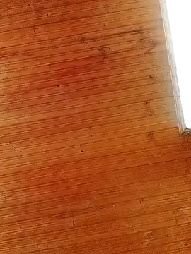 Darly Gomez online show from 1, 3, 2025