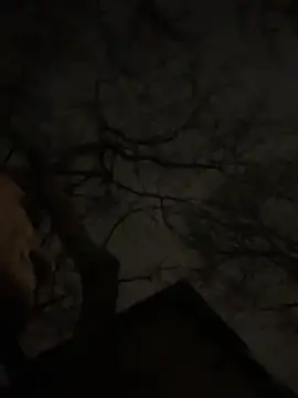 -yakimov- online show from 31, 1, 2026