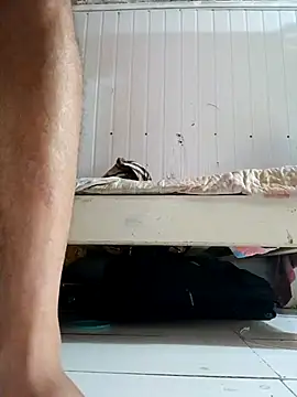 frotasso online show from 20, 2, 2026