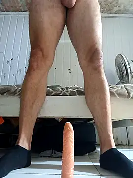 frotasso online show from 24, 3, 2026