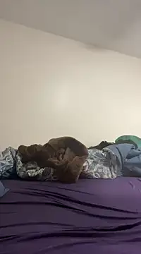 daddymaniaco69 online show from 28, 12, 2024