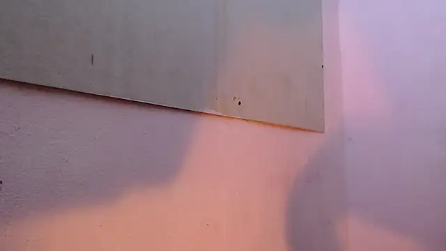 mr stiven  online show from 22, 3, 2025