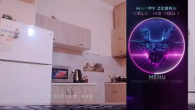 HappyZebra13 online show from 12, 12, 2024