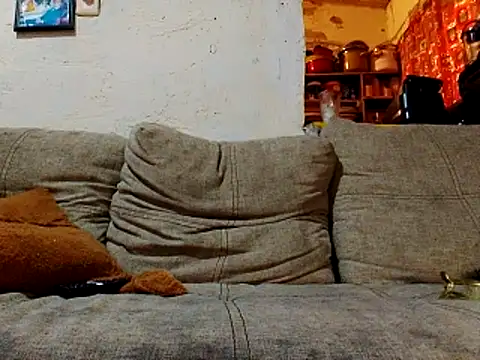 Snapshot of NewBe9D9 chatting on 23, 11, 2025 NewBe9D9 online show from 23, 11, 2025