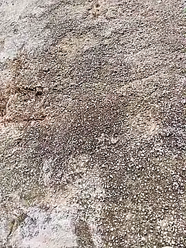 Eleni Pappa online show from 6, 4, 2026