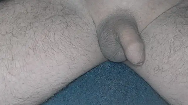 Snapshot of cs1512 chatting on 26, 2, 2025 cs1512 online show from 26, 2, 2025