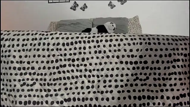 Snapshot of Keiny-Rave chatting on 18, 3, 2025 Keiny-Rave online show from 18, 3, 2025