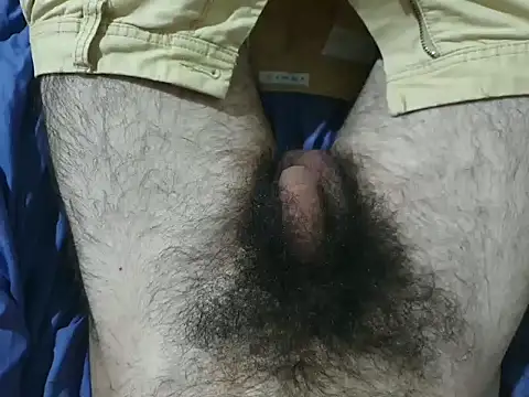 bomvemcam online show from 28, 11, 2025