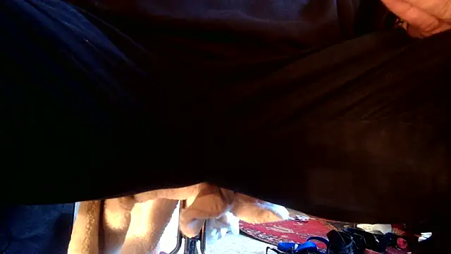 SilverandFox online show from 10, 9, 2025