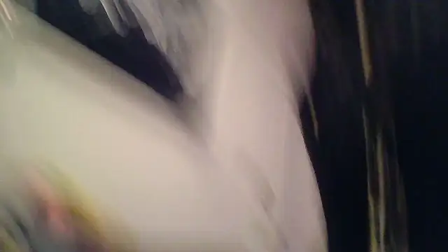 SilverandFox online show from 5, 11, 2025