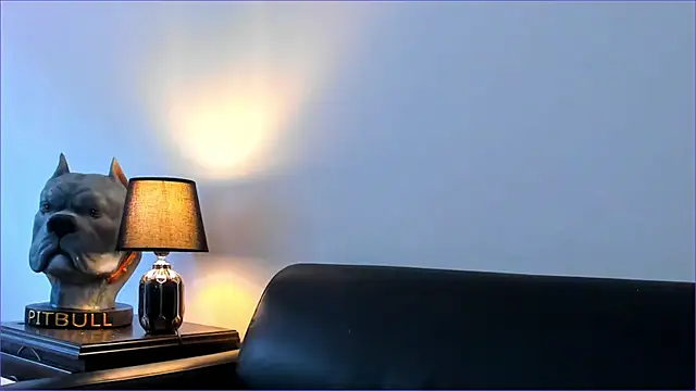 Snapshot of BradLeon_ chatting on 8, 10, 2025 BradLeon online show from 8, 10, 2025