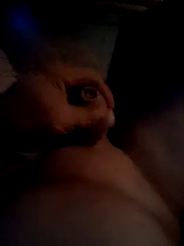 Snapshot of Chrisgeil chatting on 16, 7, 2026 Chrisgeil online show from 16, 7, 2026