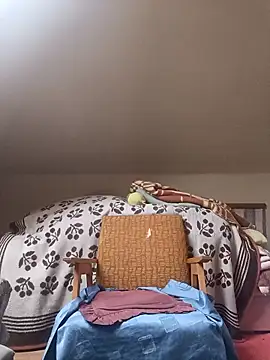 danitomii online show from 31, 3, 2026