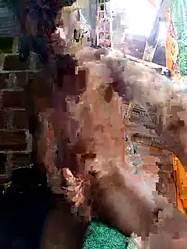 Andres123cv online show from 15, 4, 2026