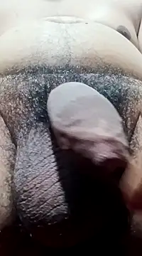 Arasu  online show from 25, 12, 2024