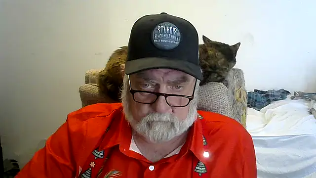 viejo oso online show from 14, 12, 2025