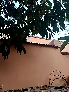 carria homes online show from 28, 1, 2025