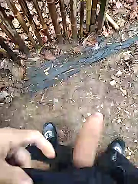 Snapshot of puertordic chatting on 29, 12, 2024 puertordic online show from 29, 12, 2024