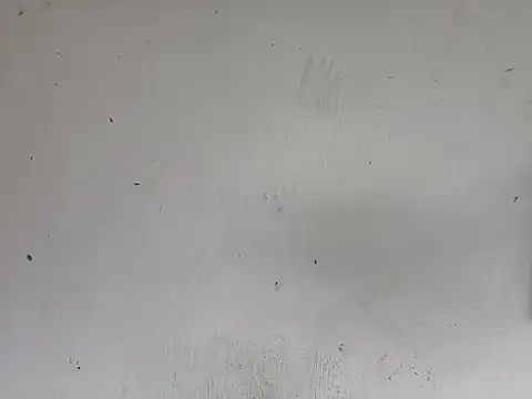 fs carioca online show from 2, 12, 2025