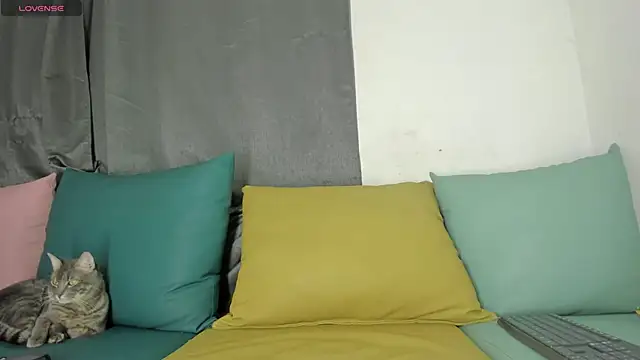 maison sofia1 online show from 7, 1, 2025