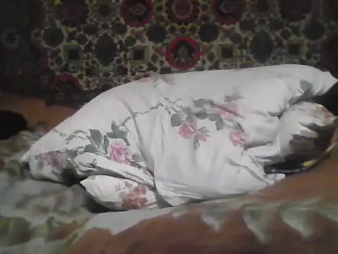 Snapshot of AlferezzSolvajo chatting on 3, 12, 2025 AlferezzSolvajo online show from 3, 12, 2025