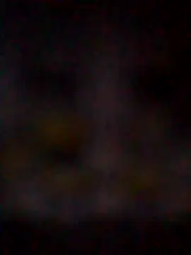 Snapshot of missAmanda69 chatting on 29, 7, 2026 missAmanda69 online show from 29, 7, 2026
