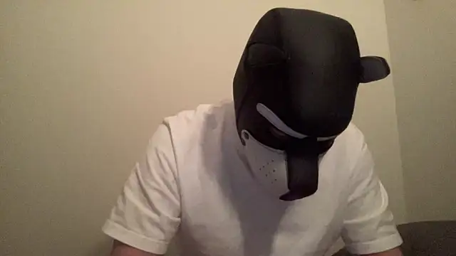 takkkboy1 online show from 12, 1, 2025