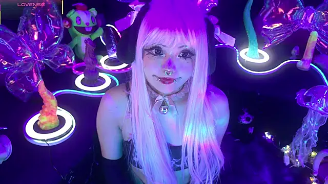 LaytonBox online show from 27, 3, 2026