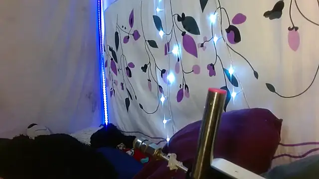 kattislut77 online show from 7, 2, 2026