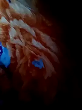 rameshjisex online show from 12, 11, 2025