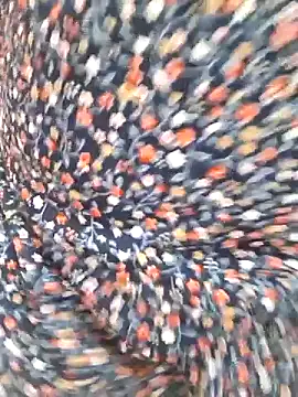 rameshjisex online show from 22, 3, 2026