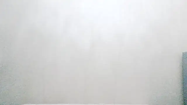 vnhfds online show from 22, 1, 2025