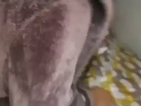 Snapshot of Chandy012 chatting on 19, 9, 2025 Chandy012 online show from 19, 9, 2025