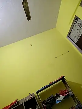 08uhj online show from 1, 2, 2026