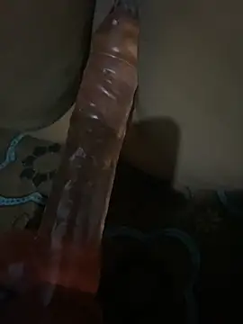 SL Aki online show from 14, 4, 2026