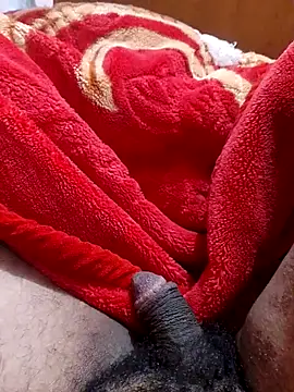 Snapshot of mhmia chatting on 31, 1, 2025 mhmia online show from 31, 1, 2025