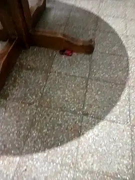 parejarica420 online show from 6, 3, 2026