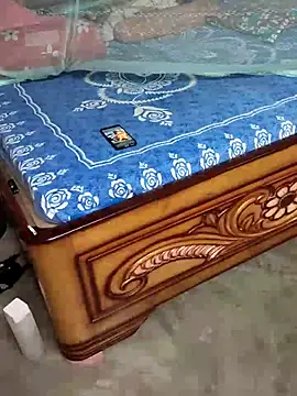 birds0641 online show from 8, 10, 2025