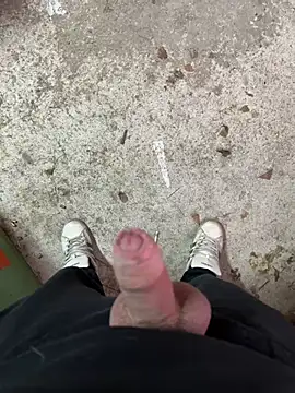bigplut online show from 8, 2, 2025