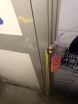 wadmma online show from 5, 2, 2025