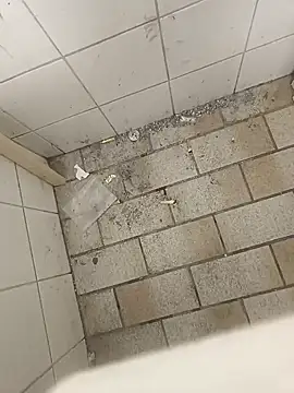 wadmma online show from 19, 11, 2025