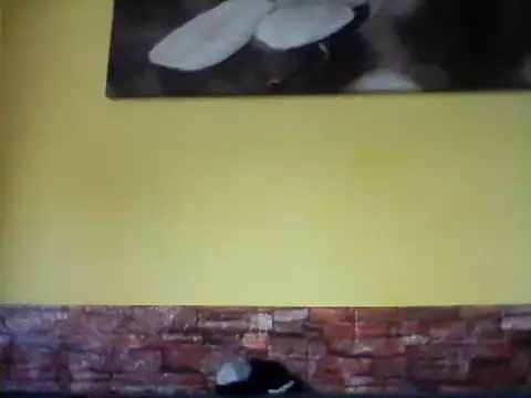 sexy lady2 online show from 17, 2, 2025