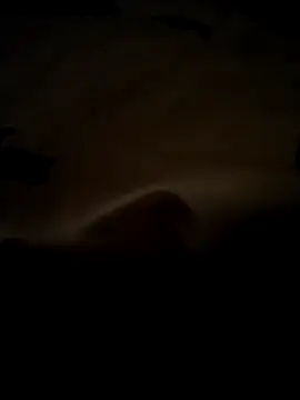 baojai01 online show from 6, 3, 2026