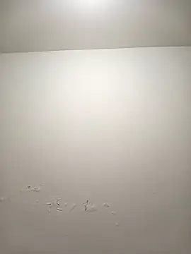 Sophia Dupontx online show from 28, 11, 2025